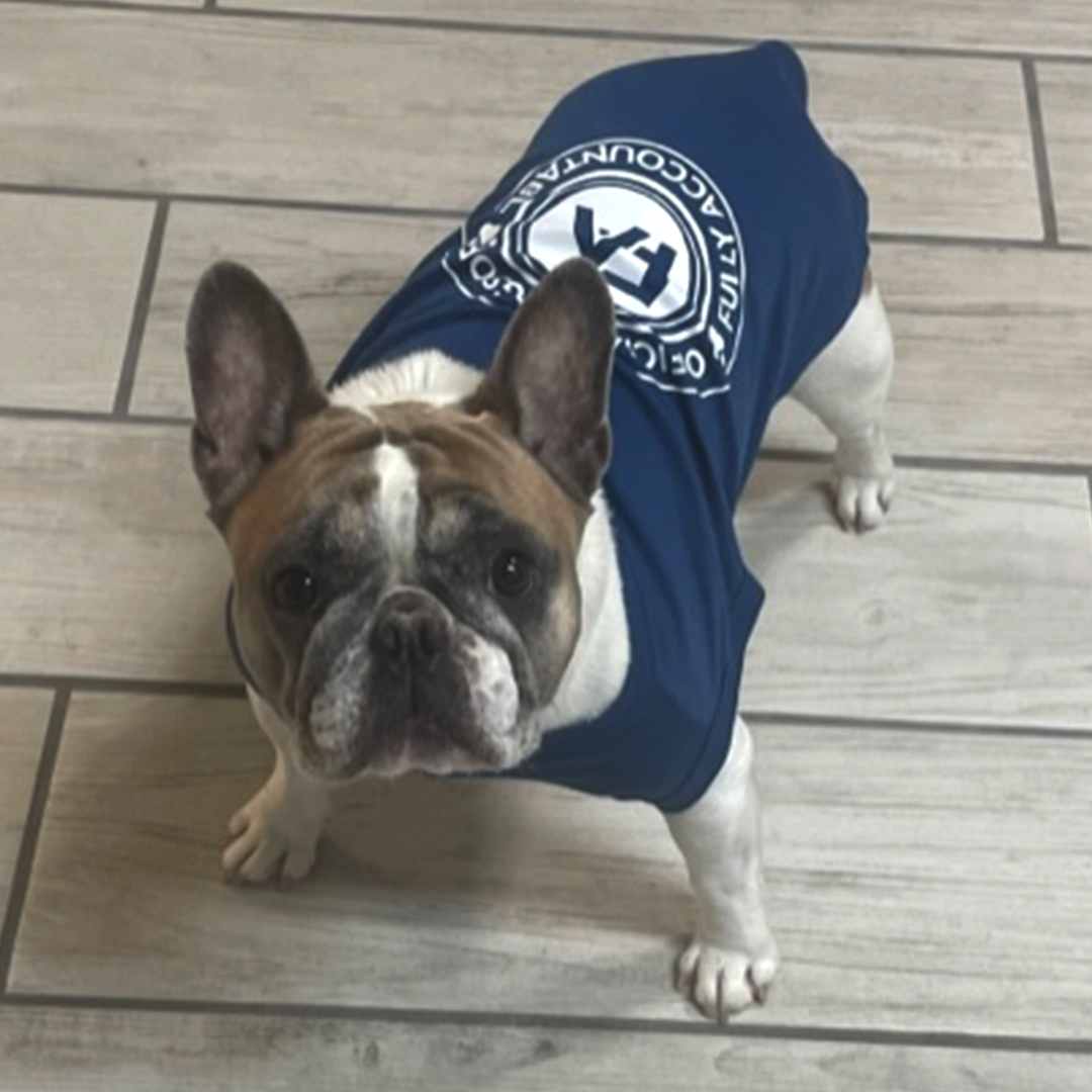 Dogst 2022 - Photo 1