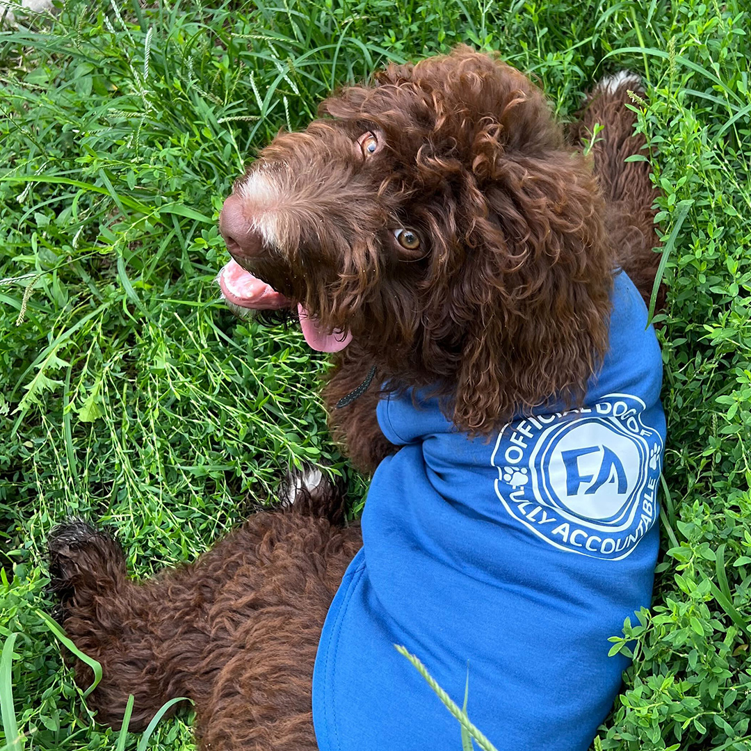 Dogst 2022 - Photo 10