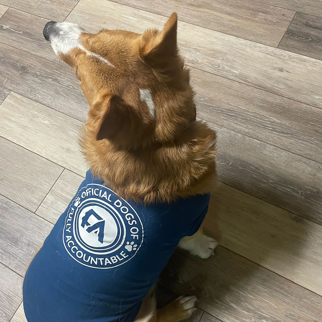 Dogst 2022 - Photo 18