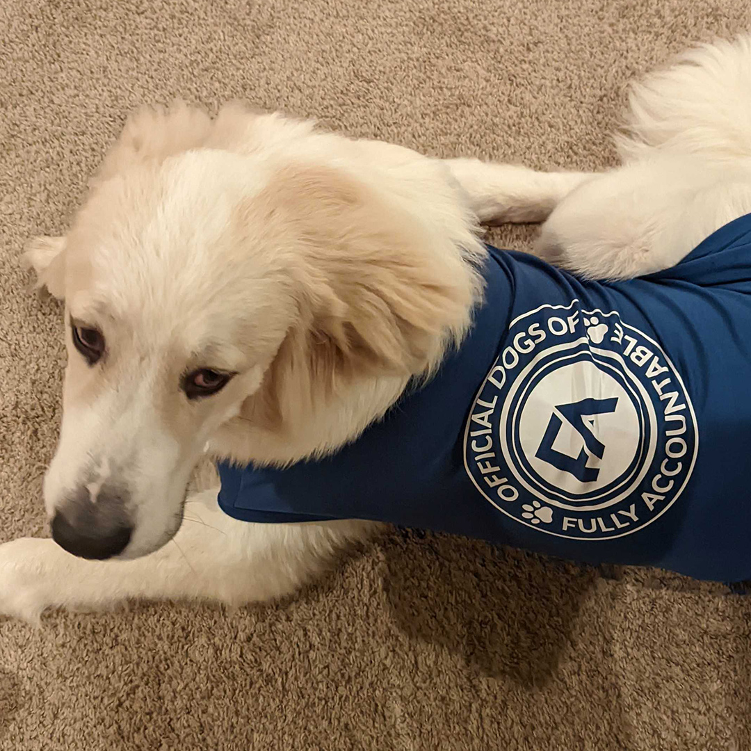 Dogst 2022 - Photo 2