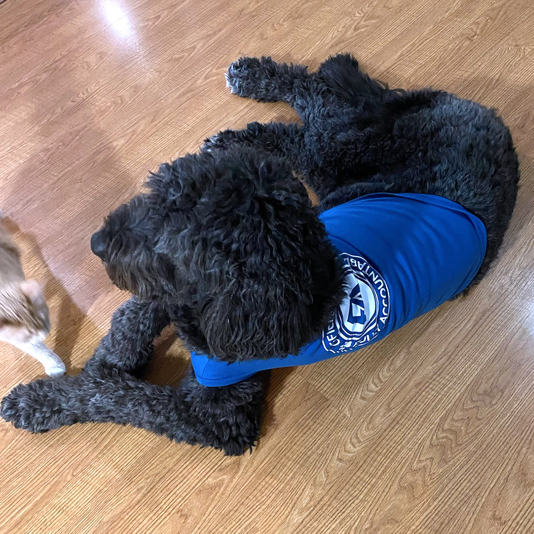 Dogst 2022 - Photo 15