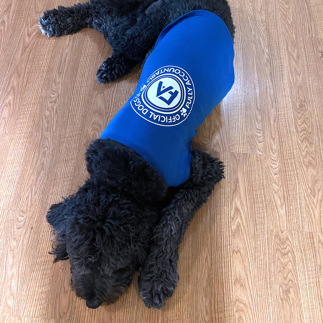 Dogst 2022 - Photo 22