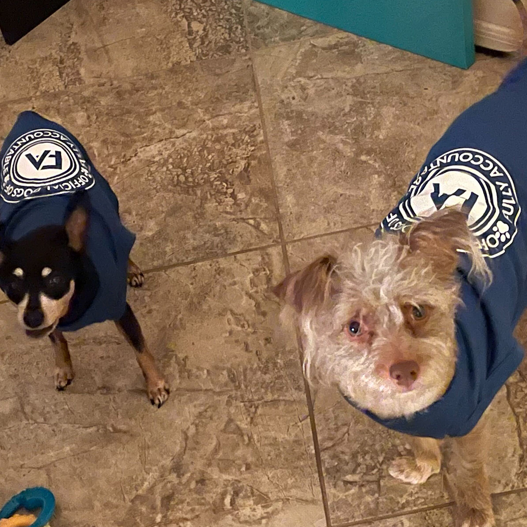 Dogst 2022 - Photo 8